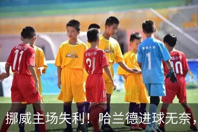 挪威主场失利！哈兰德进球无奈，C罗替补冷眼观战